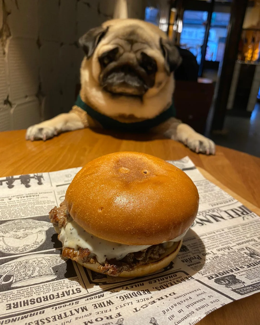 Un perro junto a una smash burger en La Prensa, restaurante dog friendly en Madrid